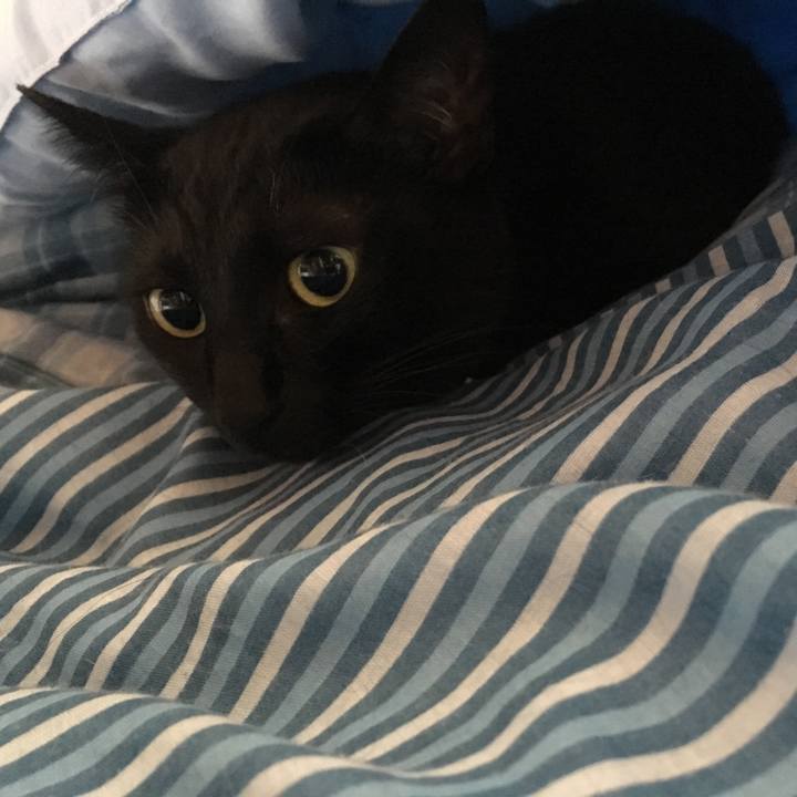 6f339819 e054 4383 9716 98dc50100b6c