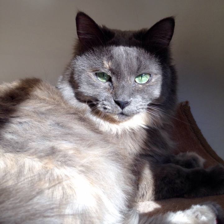 6f34c9c0 8bd5 4e7a 9963 d22470223c62