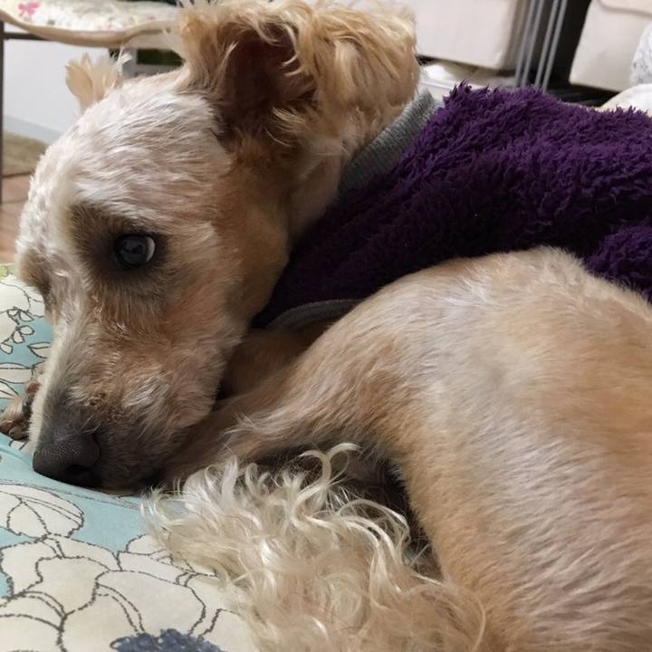 6f3568f5 c5f2 4701 8e2a e13788e551ca