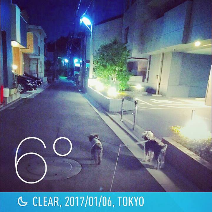 6f3581a8 dcf5 46e9 88f3 cc11e6d3f990