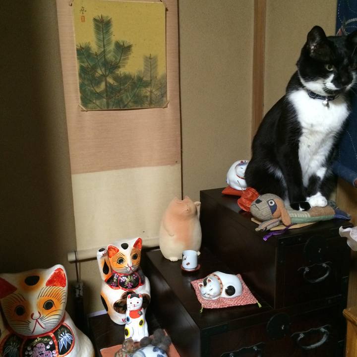 6f35d92b fb83 4339 a94e caefb344d59a