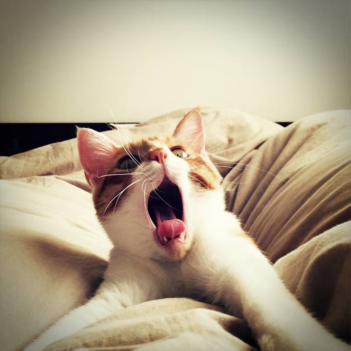 6f364740 ae88 4216 9370 7c75f8b46e8f