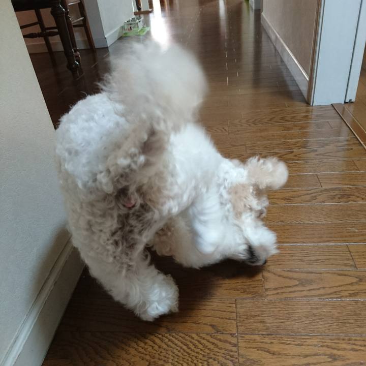 6f36ca58 c3e9 420a 9d2f f2db643445dc