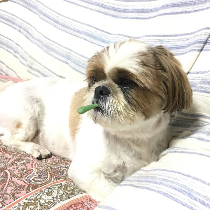 6f36ce44 9078 4b18 806b 1eba84ba8a40