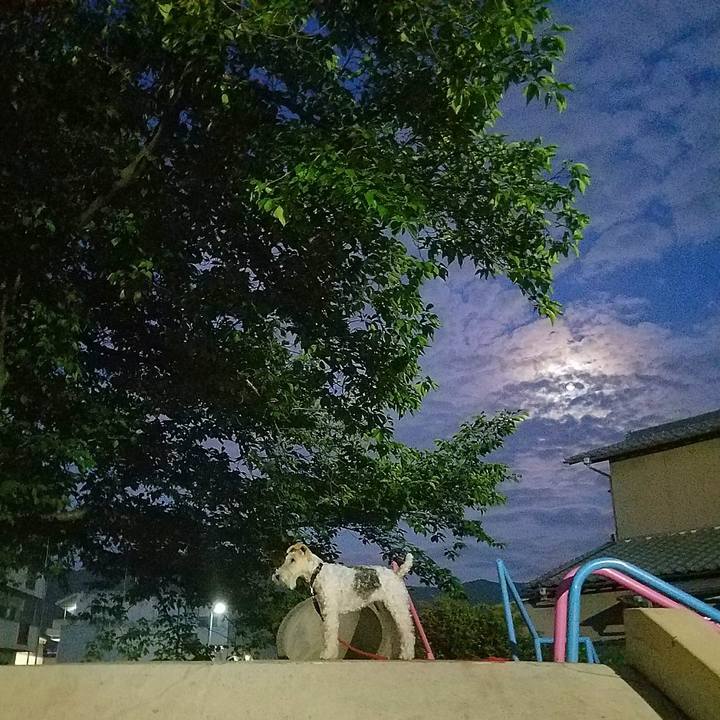 6f377c6d 4d17 4473 9624 59c6915a0191