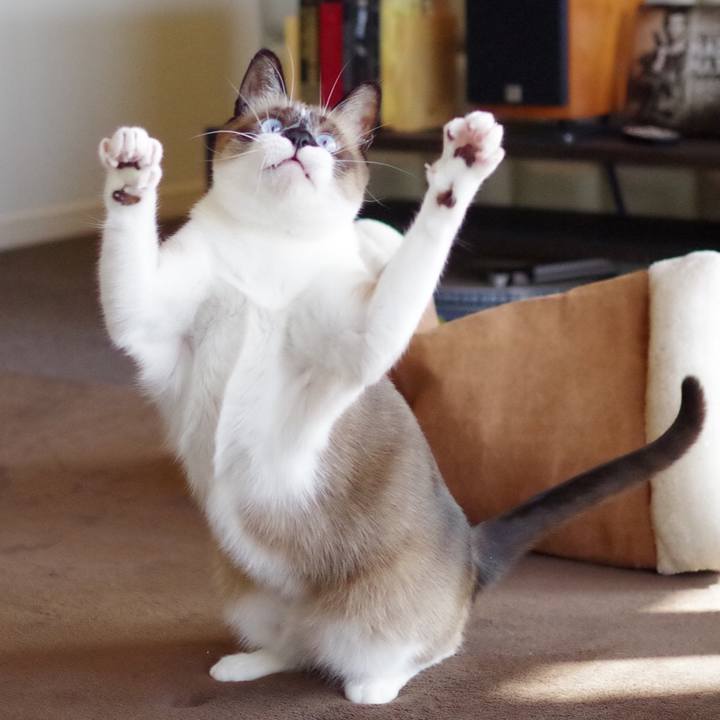 6f37df73 b581 4e9e 930b be57c19ea499