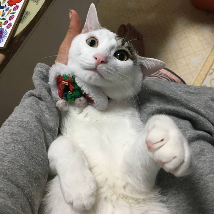 6f37e95d 881d 4313 b284 8027257700b8