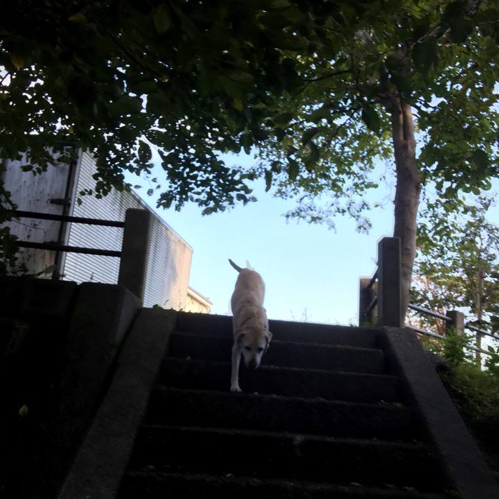 6f397881 0d7a 44a4 8cb4 b81de1de296c