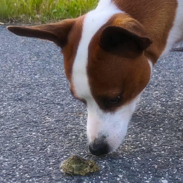 6f39f757 15ca 462f 9fe3 efaaef7ad427