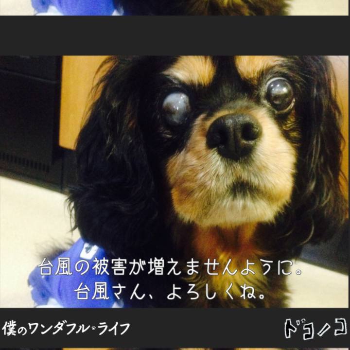 6f3b2cb6 1939 4ed7 8d81 5ab3b9e60b7e