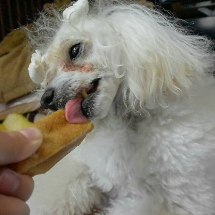 6f3b97b7 f855 4c25 a1c7 53e0b1b27f2d