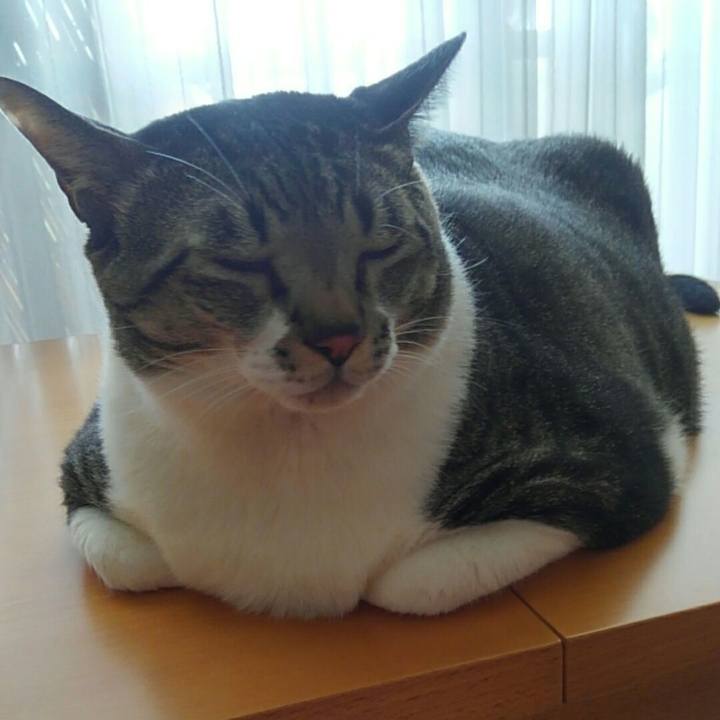 6f3b9beb e94f 4e3a 92e1 7bbeec5302a3