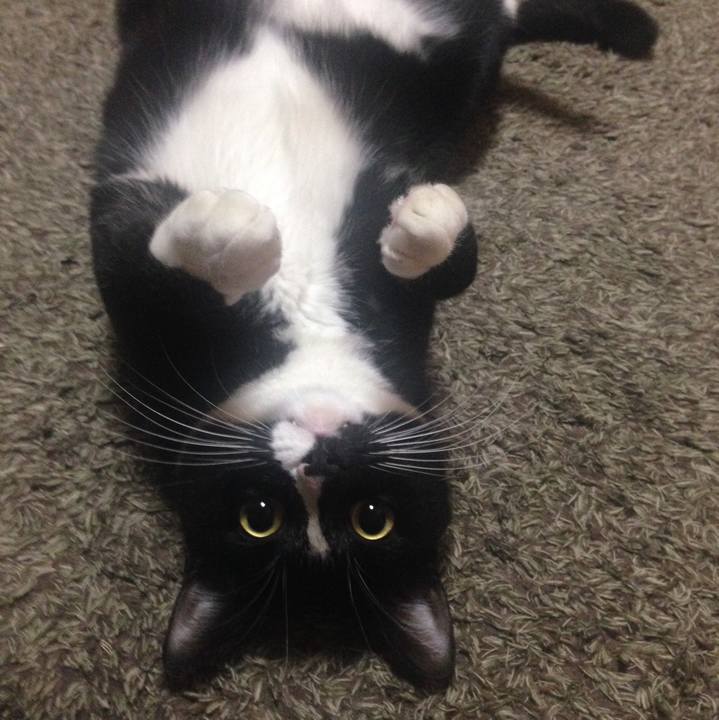 6f3bafca cb60 425e 87bb 6aa51885624b