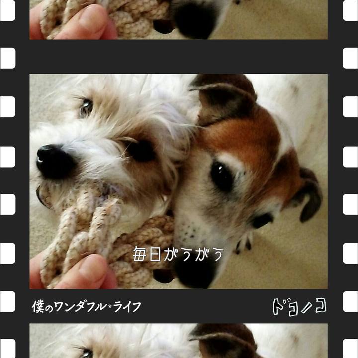 6f3c0ae4 ce39 4f2a af77 7e464ef3423b