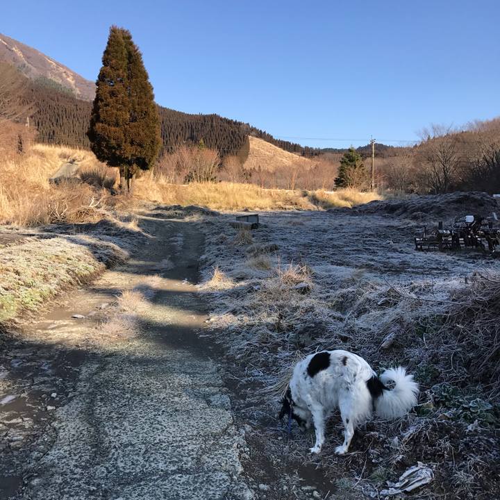 6f3cd47c 4986 46bc 814a c48e1d66d1a1