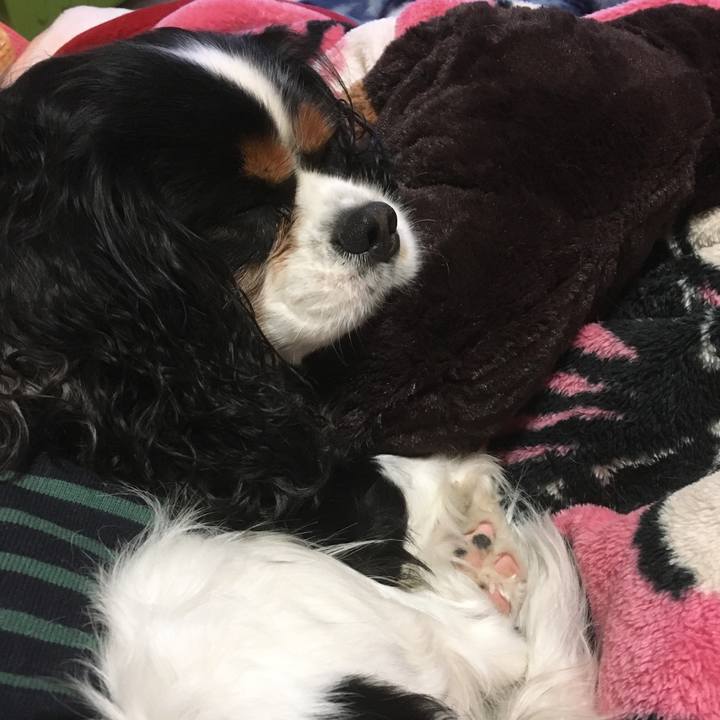 6f3e326a 7826 4889 9a81 df1f311a34b5