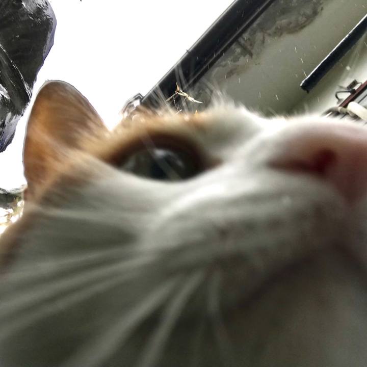 6f3e6c20 05ef 49ac a2ed 571ac50cc6bb