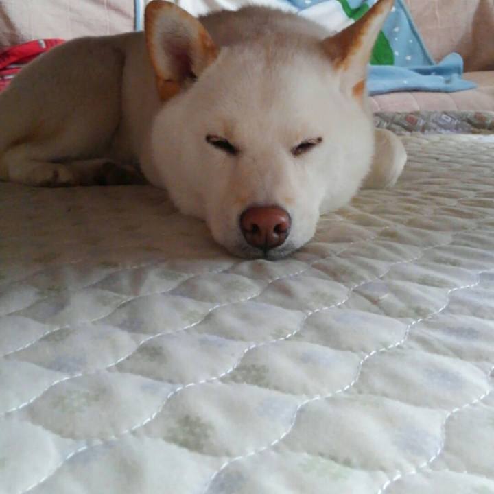 6f3e7233 3f6e 4672 ac94 bd27228ea4dc