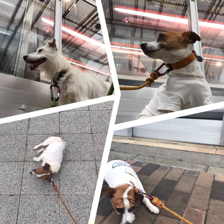 6f3f46f7 cb3b 48ac be79 a08120aba256