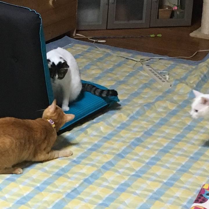 6f3f4bbe 25ca 4f7c b11f 77e65b82365f