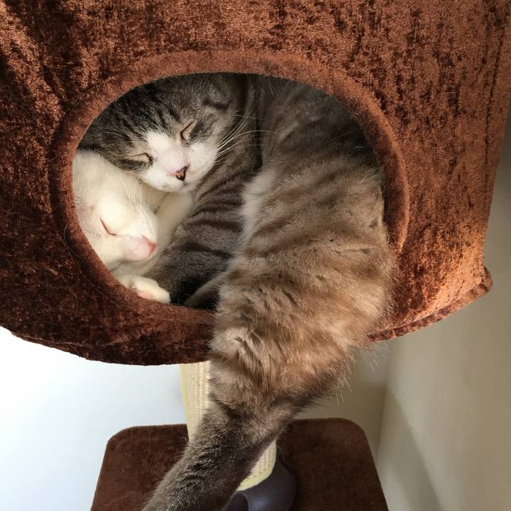 6f3fb0e8 c113 4766 bf22 b48eb121d3f4