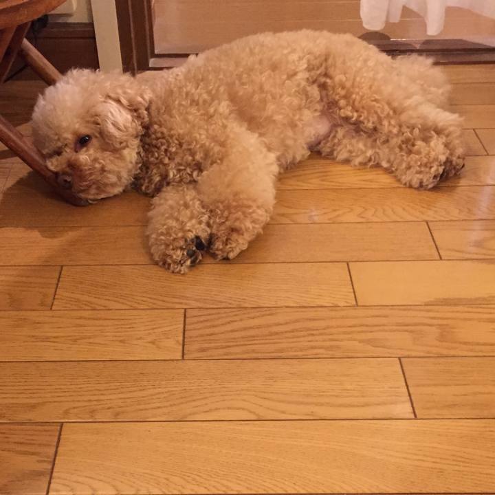 6f407528 1a99 4753 a384 7d26cde8542f