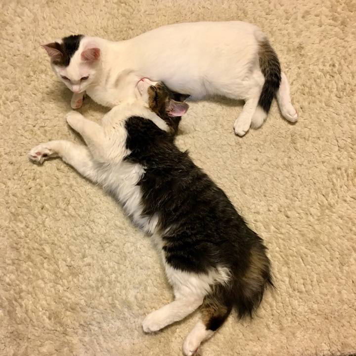 6f40c7dc 546a 454d aa3e 4d86e58c41be