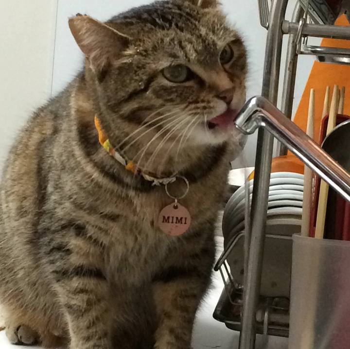 6f40dafe c8d3 4f8f 8e67 0c2c9f529b59