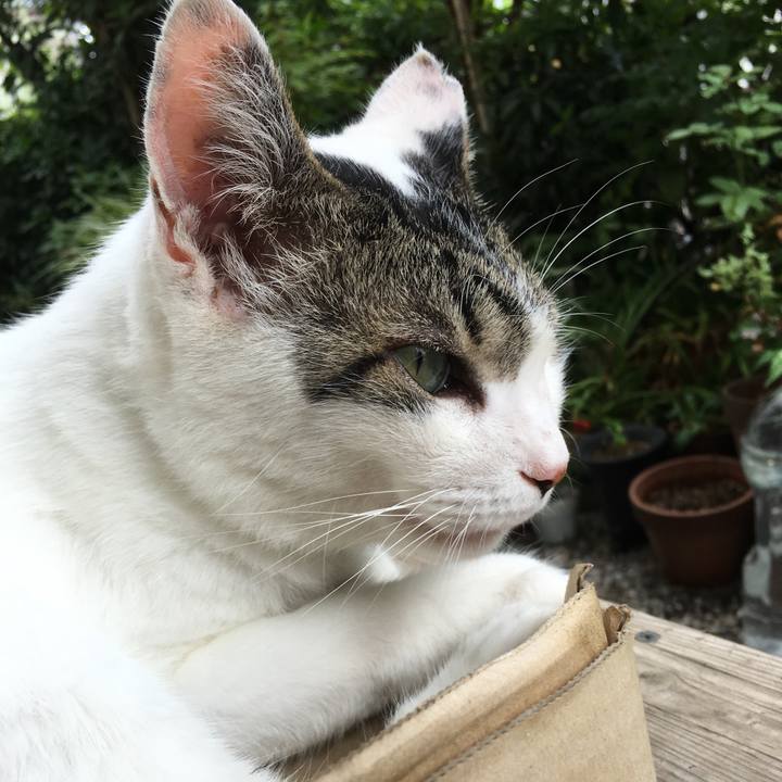 6f40f402 8b3f 484c 9c33 b1e278b8a891