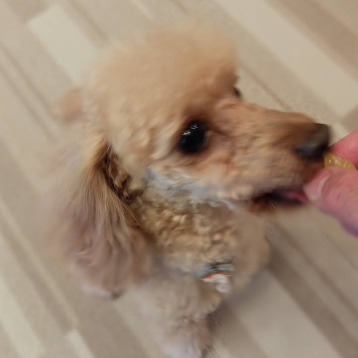 6f414775 a041 41b9 9372 5bc6838d6af0