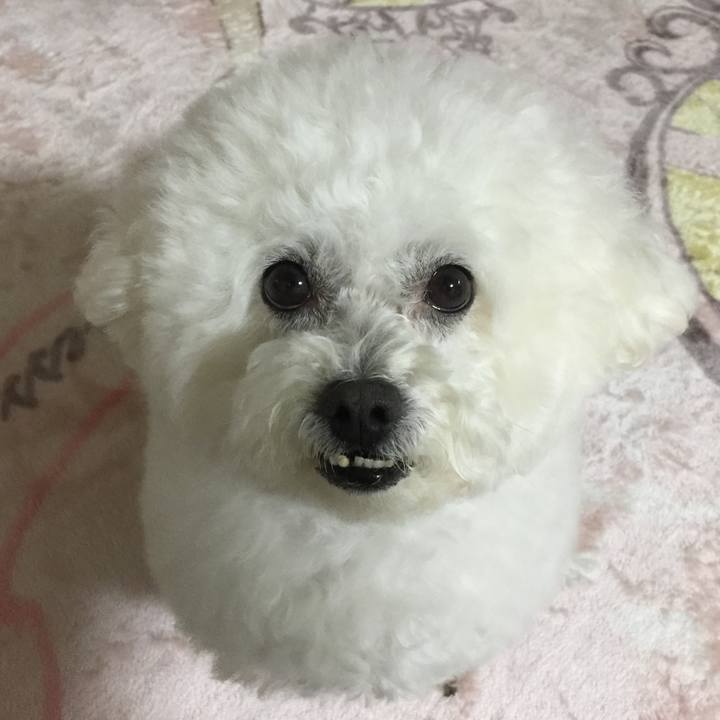 6f419229 b235 45f0 ab5f 28b7c9c4bb5c