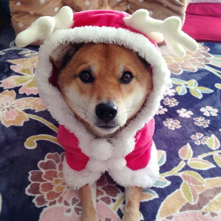 6f4212d5 950a 4581 b592 9363412a8418