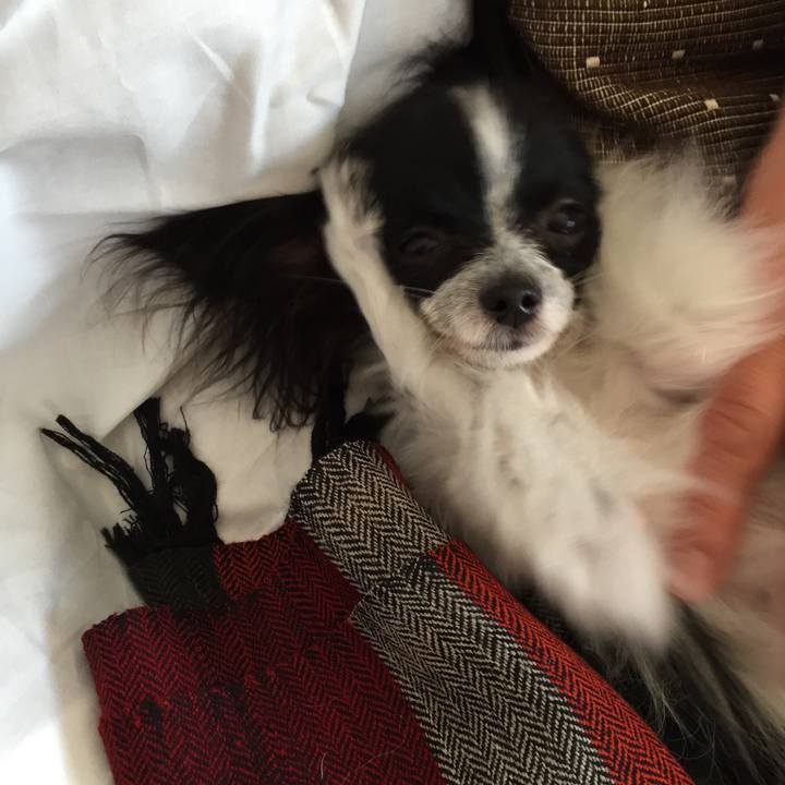 6f422b94 1da3 4840 a748 e6f0c9e40c7a