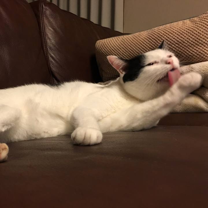 6f429d1a 9f52 4332 9931 eb9fd109ce65