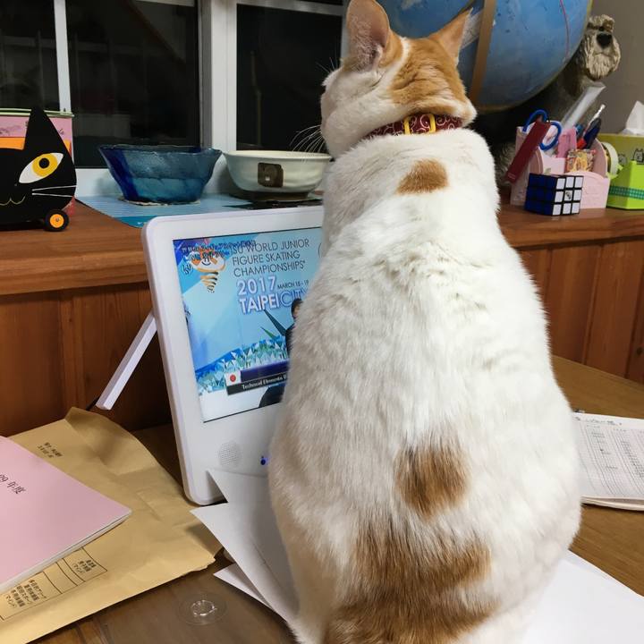 6f42a5ef d054 401a 94e1 14fd444953b6