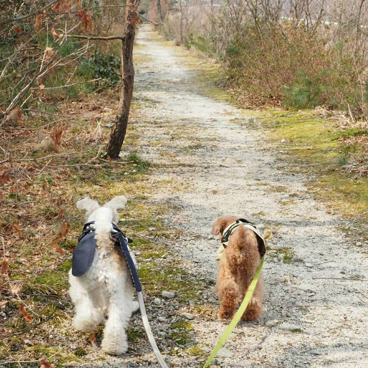 6f42c656 4de8 4f4e a36e 2ad50fdadbf1