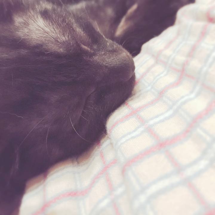 6f432e08 6d80 4980 a4dc 3bc552628a17