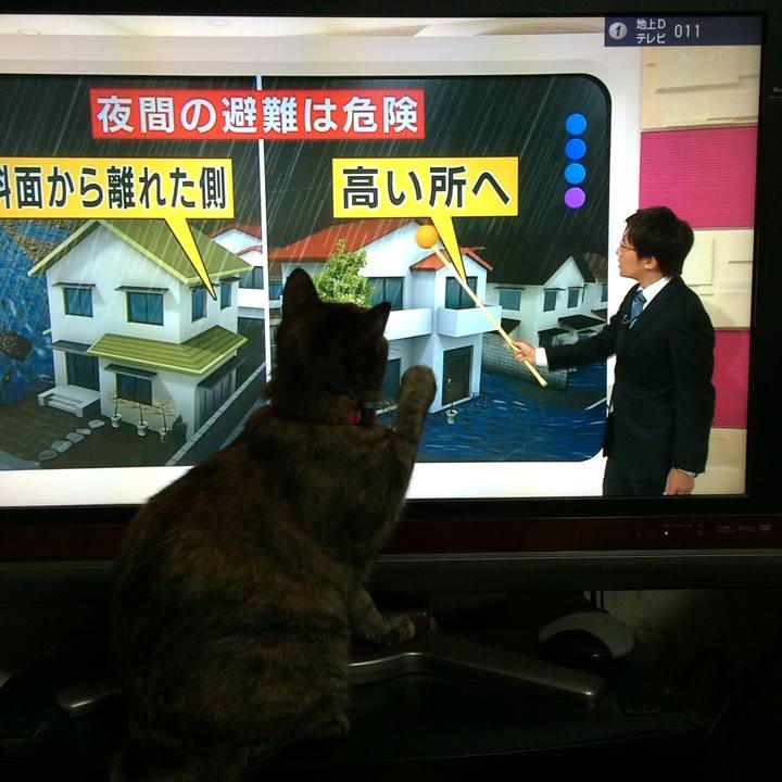 6f459f0f 9ba3 452a a38c a76f183f6ce0