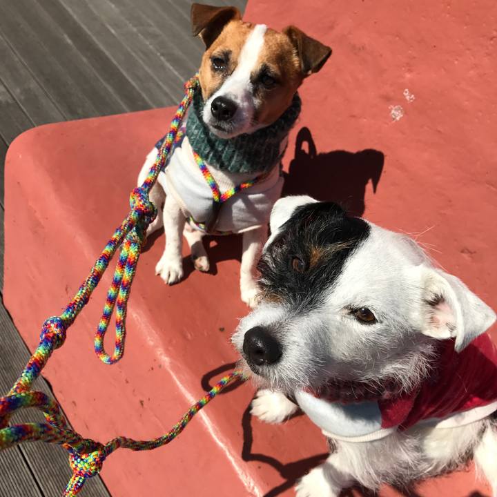 6f4633f6 1b89 455c b7ba 6e574ac1bafb