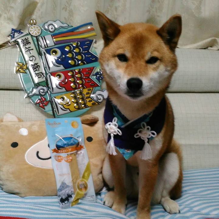 6f468252 782f 451b a88a 39ba1c171ec6