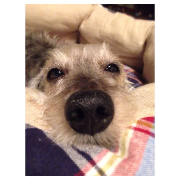 6f47c45a 33cf 4ffe b9d2 080efce5f211