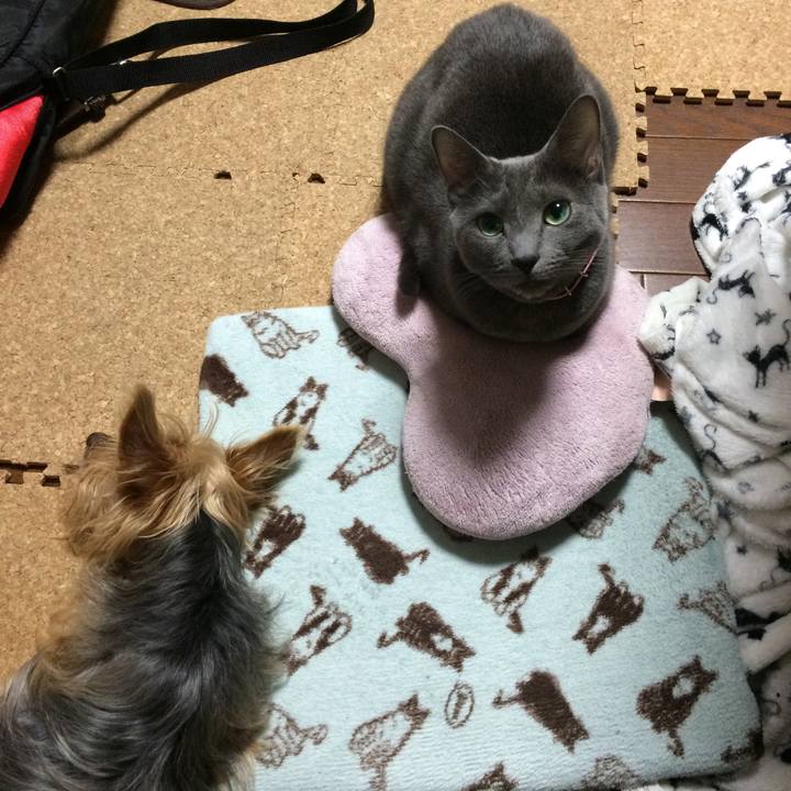 6f4919d6 1c6f 49e7 b61e 7a5f6fa35f10