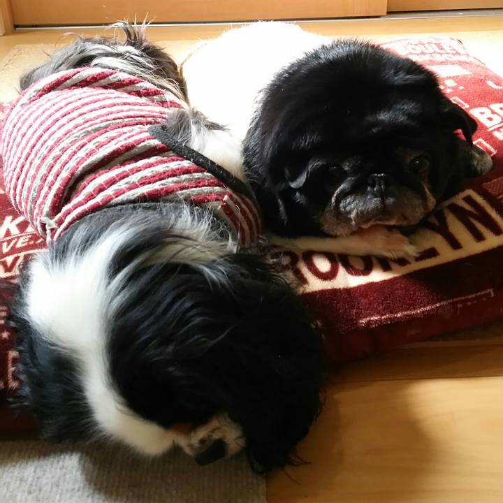 6f4983ef ad80 4034 8b09 5287a75d9fe2