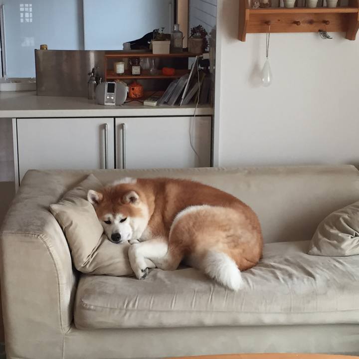 6f49e041 c4ac 4894 a6c4 902ceb6ebc69