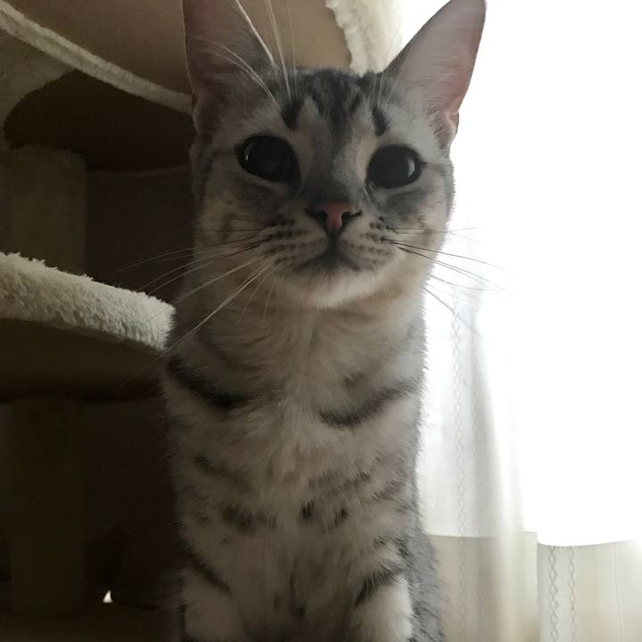 6f4a5d3a b5d8 43c5 96c0 2e56391ae8f3