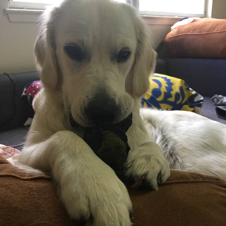 6f4b2dee 3130 44b5 8346 ca42c94b5f47