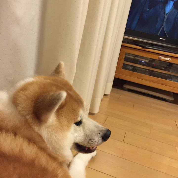 6f4b67c6 e82d 430a bccc 771470c177cb