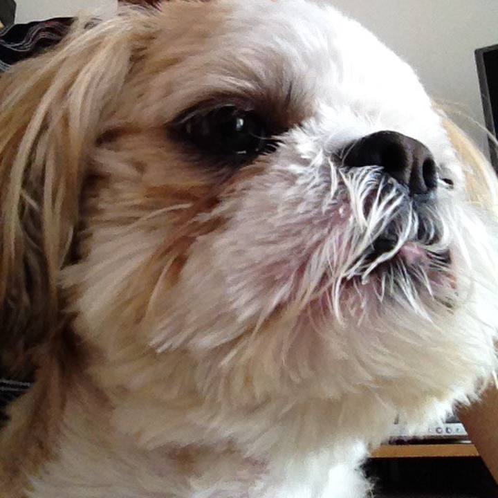 6f4b7167 3ced 4fb3 a468 82c0b1c20ccc