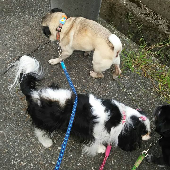 6f4bd3bc fc23 471e 81c9 558e15977dda