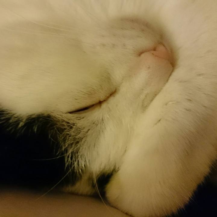 6f4bda30 a228 4fd9 9ed1 079e01fa991a